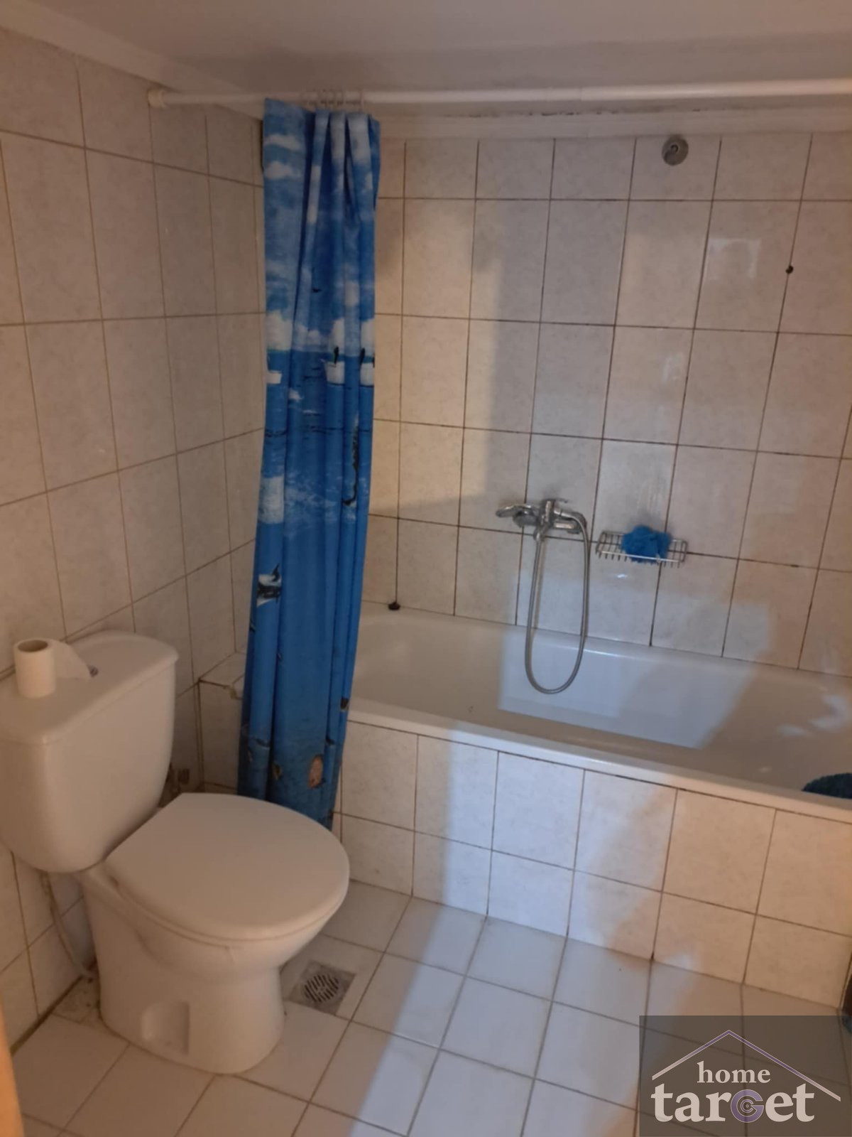 3954